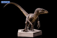 Velociraptor C Jurassic Park Icons Mini-Statue (Jurassic Park)