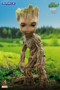 Groot Deluxe TV Masterpiece TMS089 (I Am Groot)