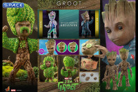 Groot Deluxe TV Masterpiece TMS089 (I Am Groot)