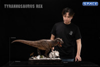 1/15 Scale Tyrannosaurus Rex Museum Paleontology World Series Statue