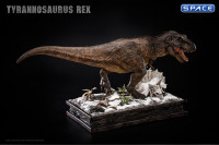 1/15 Scale Tyrannosaurus Rex Museum Paleontology World Series Statue