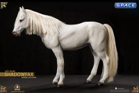 1/6 Scale Gandalf the White with Shadowfax (Lord of the Rings)