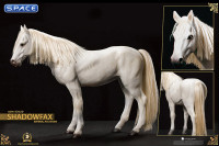 1/6 Scale Gandalf the White with Shadowfax (Lord of the Rings)