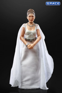 6 Princess Leia Organa Yavin 4 (Star Wars - The Black Series)