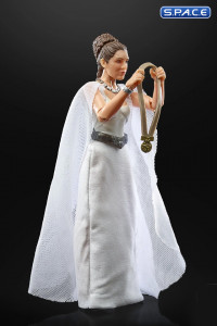 6 Princess Leia Organa Yavin 4 (Star Wars - The Black Series)
