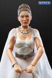 6 Princess Leia Organa Yavin 4 (Star Wars - The Black Series)