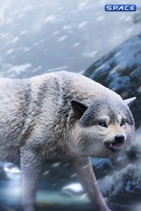 1/6 Scale Snow Wolf (Cold Winter Wolf)