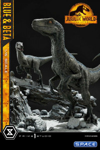 1/6 Scale Blue & Beta Legacy Museum Collection Statue - Bonus Version (Jurassic World: Dominion)