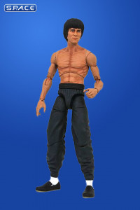 Bruce Lee Select - Walgreens Exclusive (Bruce Lee)