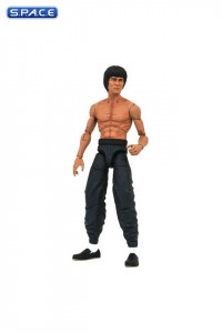 Bruce Lee Select - Walgreens Exclusive (Bruce Lee)