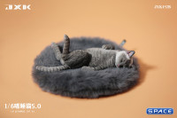 1/6 Scale Cat in dorsal position (grey)