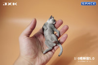 1/6 Scale Cat in dorsal position (grey)