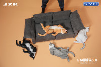 1/6 Scale Cat in dorsal position (grey)