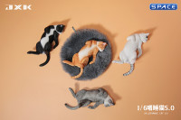 1/6 Scale Cat in dorsal position (white)