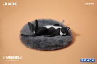 1/6 Scale Cat in dorsal position (black)