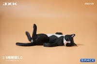1/6 Scale Cat in dorsal position (black)