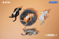 1/6 Scale Cat in dorsal position (black)