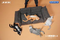 1/6 Scale Cat in dorsal position (black)