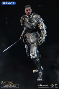 1/6 Scale Sacred Guard Knight - White Copper Version