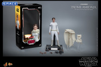 1/6 Scale Padme Amidala Movie Masterpiece MMS678 (Star Wars)