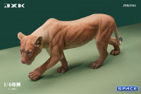1/6 Scale Lioness Version A