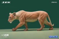 1/6 Scale Lioness Version A