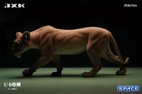 1/6 Scale Lioness Version A