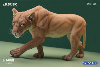 1/6 Scale Lioness Version B