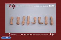 1/6 Scale Arm Set MH2202A