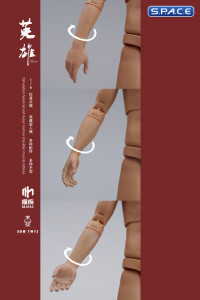 1/6 Scale Arm Set MH2202A