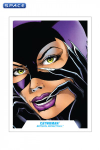 Catwoman from Batman: Knightfall (DC Multiverse)