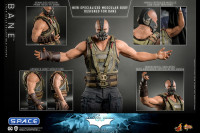 1/6 Scale Bane Movie Masterpiece MMS689 (The Dark Knight Trilogy)