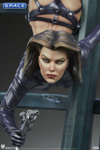 1/3 Scale Aeon Flux Statue (Aeon Flux)