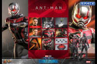 1/6 Scale Ant-Man Movie Masterpiece MMS690 (Ant-Man and the Wasp: Quantumania)