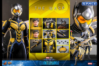 1/6 Scale The Wasp Movie Masterpiece MMS691 (Ant-Man and the Wasp: Quantumania)