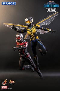 1/6 Scale The Wasp Movie Masterpiece MMS691 (Ant-Man and the Wasp: Quantumania)