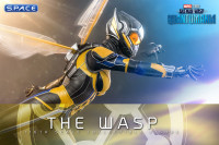 1/6 Scale The Wasp Movie Masterpiece MMS691 (Ant-Man and the Wasp: Quantumania)