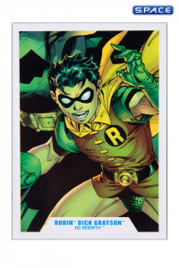 Robin Dick Grayson from DC Rebirth Gold Label Collection (DC Multiverse)