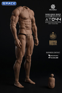 1/6 Scale Durable Male Body AT044