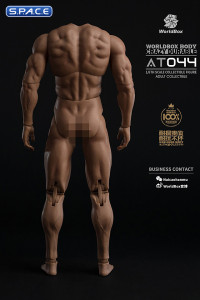 1/6 Scale Durable Male Body AT044