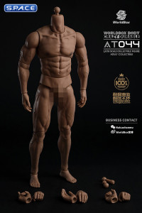 1/6 Scale Durable Male Body AT044