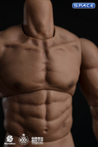 1/6 Scale Durable Male Body AT044