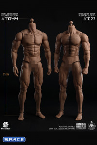 1/6 Scale Durable Male Body AT044