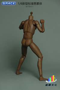 1/6 Scale Standard Male Body - New Type DT001