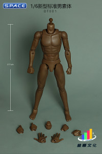 1/6 Scale Standard Male Body - New Type DT001