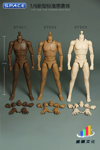 1/6 Scale Standard Male Body - New Type DT001