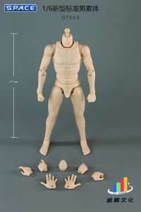 1/6 Scale Standard Male Body - New Type DT003