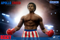 1/6 Scale Apollo Creed Deluxe Version (Rocky)