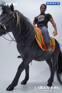 1/6 Scale Mongolian Horse (black)