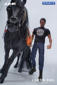1/6 Scale Mongolian Horse (black)